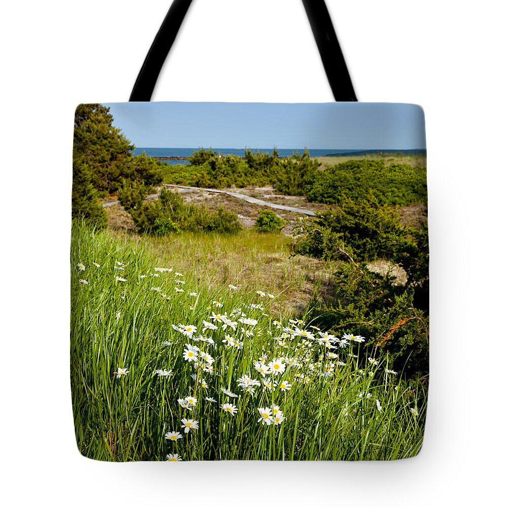 Landscapes Tote Bag featuring the photograph Field of Daisies by the Sea by Michelle Constantine
