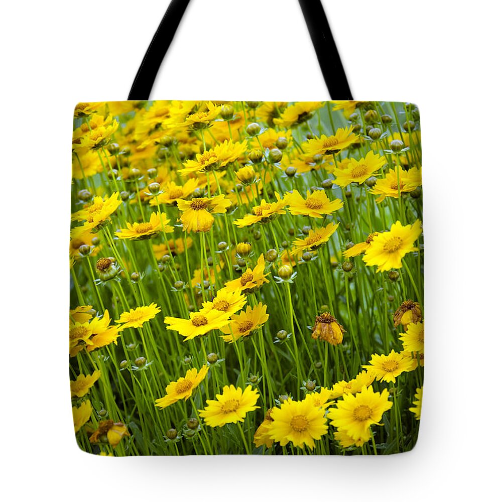 Tote Bag Yellow Daisies