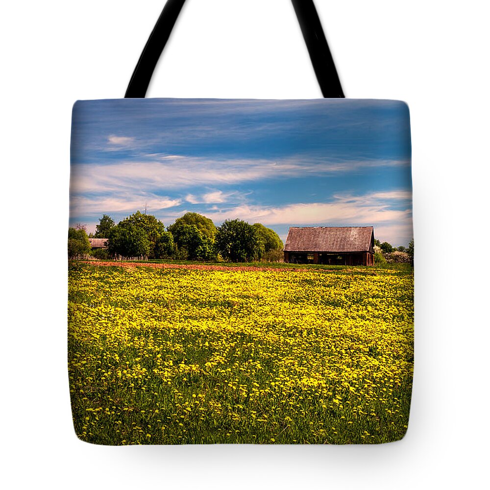 Landscape Tote Bag featuring the photograph Field of Gold. Dandelions at Village by Jenny Rainbow