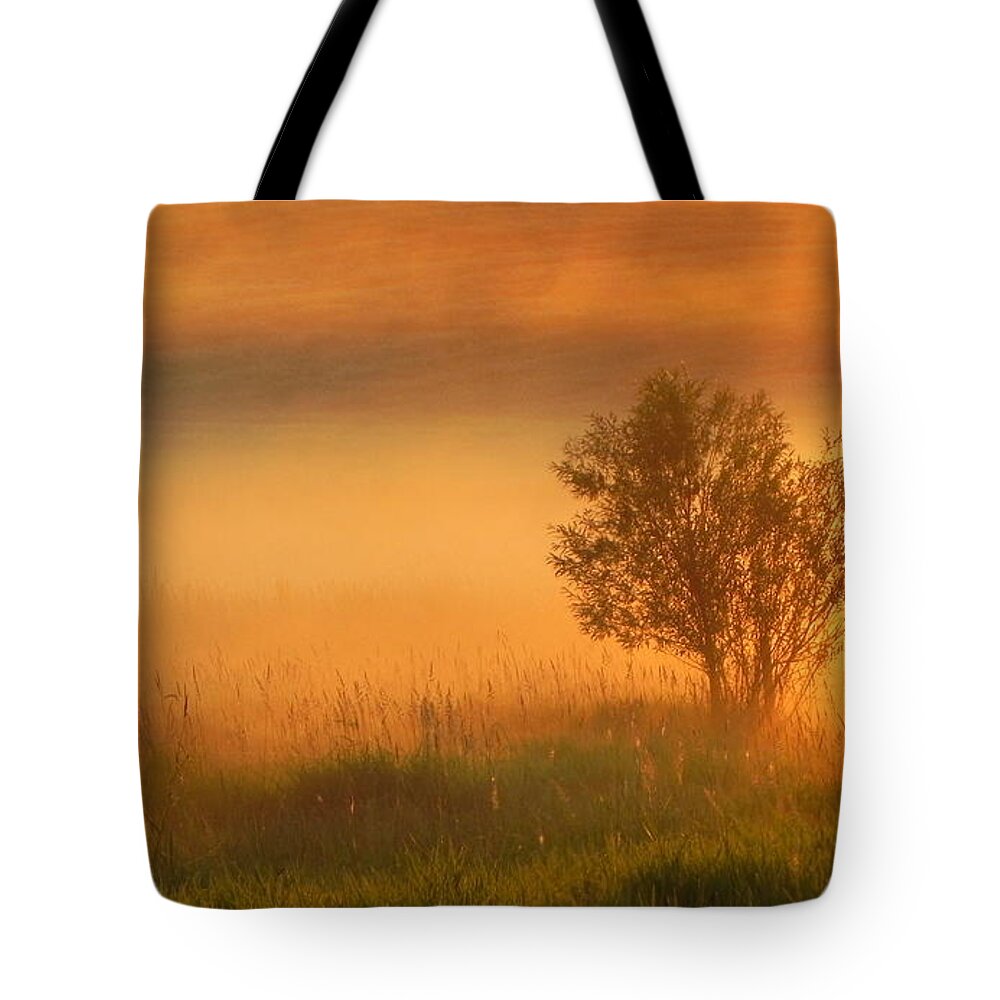 Sunrise Tote Bag featuring the photograph Field of Gold by Whispering Peaks Photography