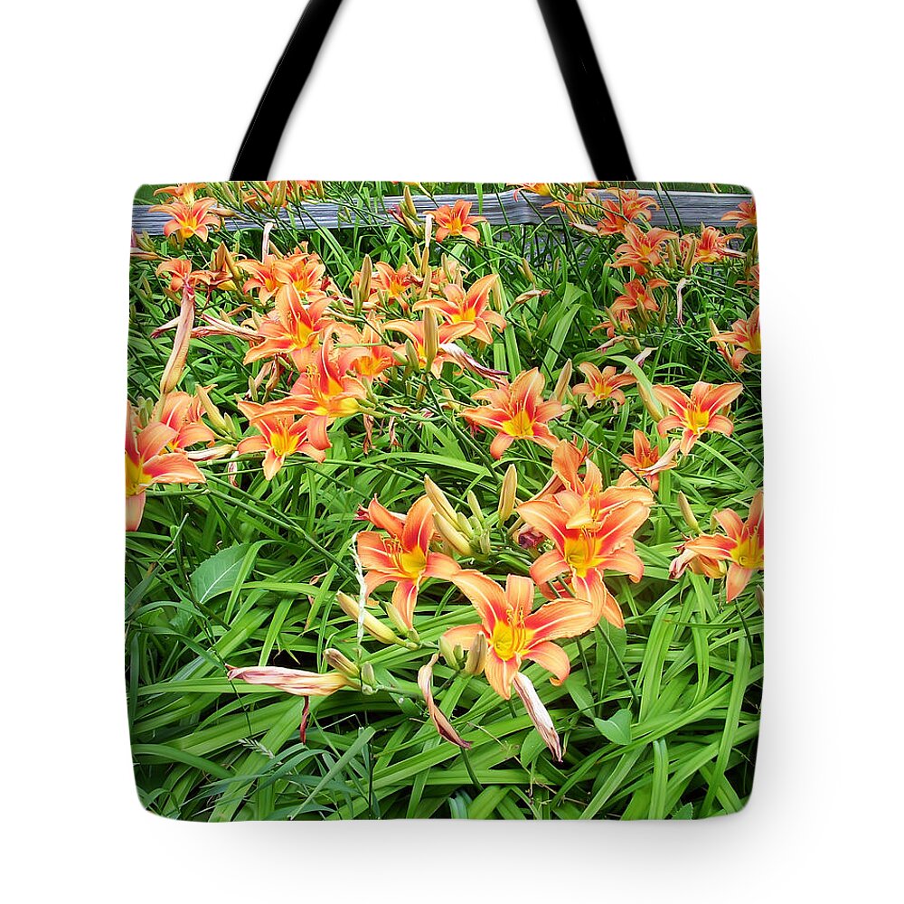 Flower Tote Bag featuring the photograph Field of Tiger Lilies by Aimee L Maher ALM GALLERY