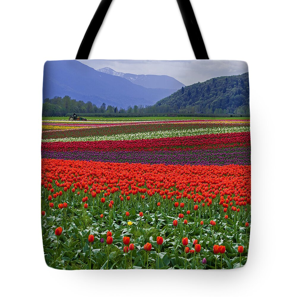 Field Of Tulips Tote Bag featuring the photograph Field of Tulips by Jordan Blackstone