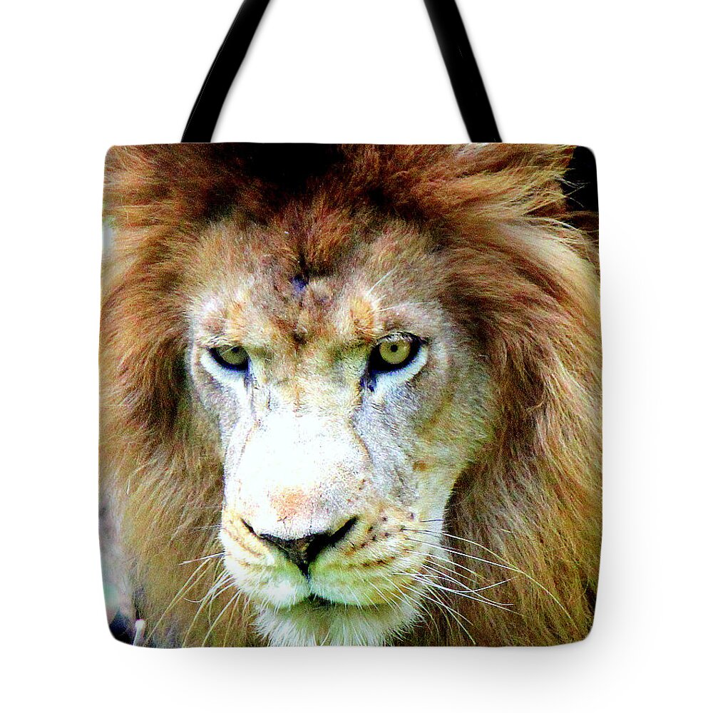 Lion Tote Bag featuring the photograph Fierce Lion by Kathy White