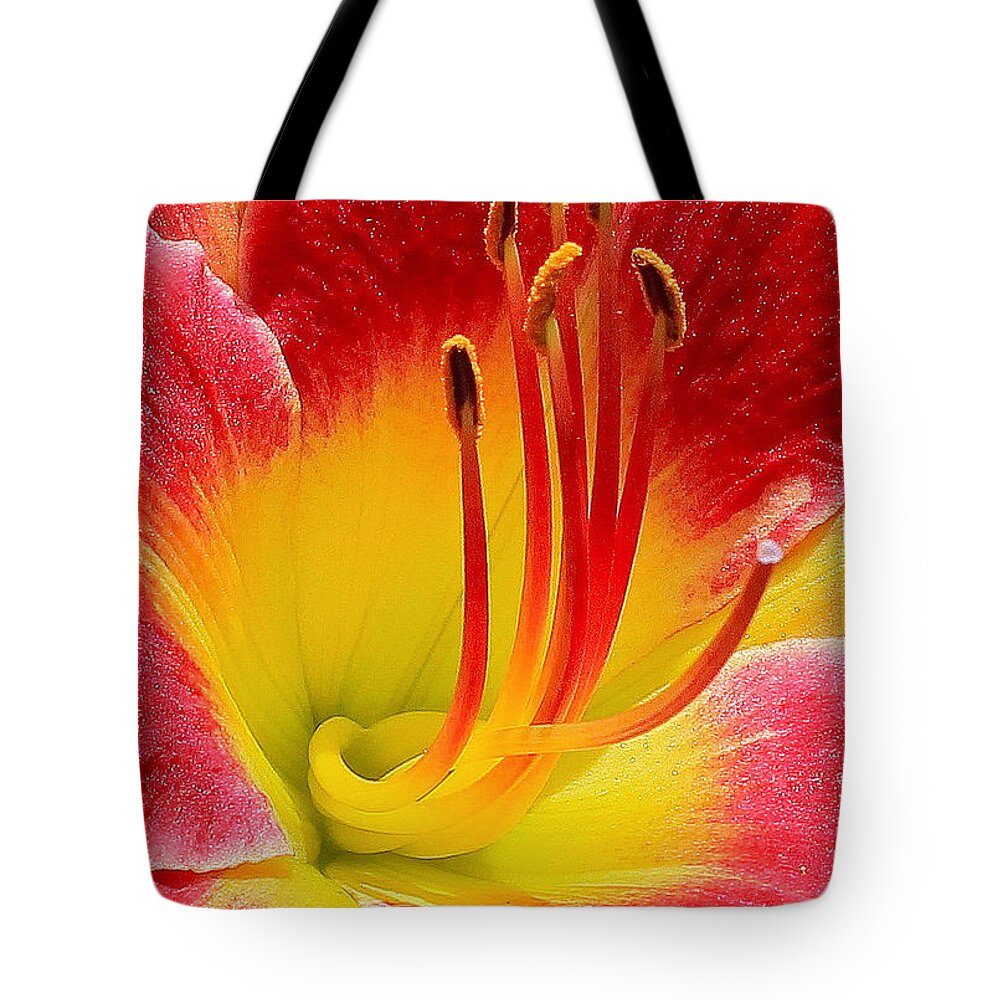Nature Tote Bag featuring the photograph Flower 5 by Albert Fadel