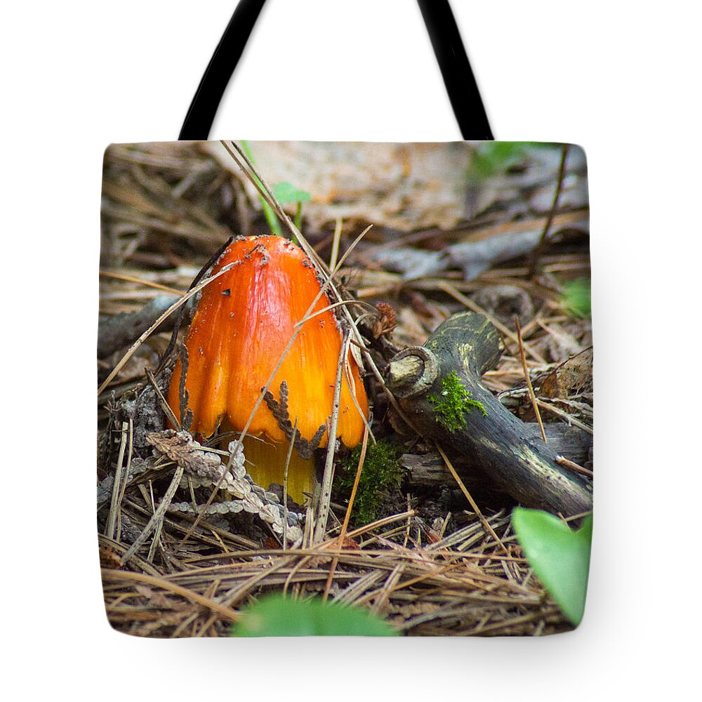 Forest Floor Tote Bag featuring the photograph Fiery Fungi by Bill Pevlor