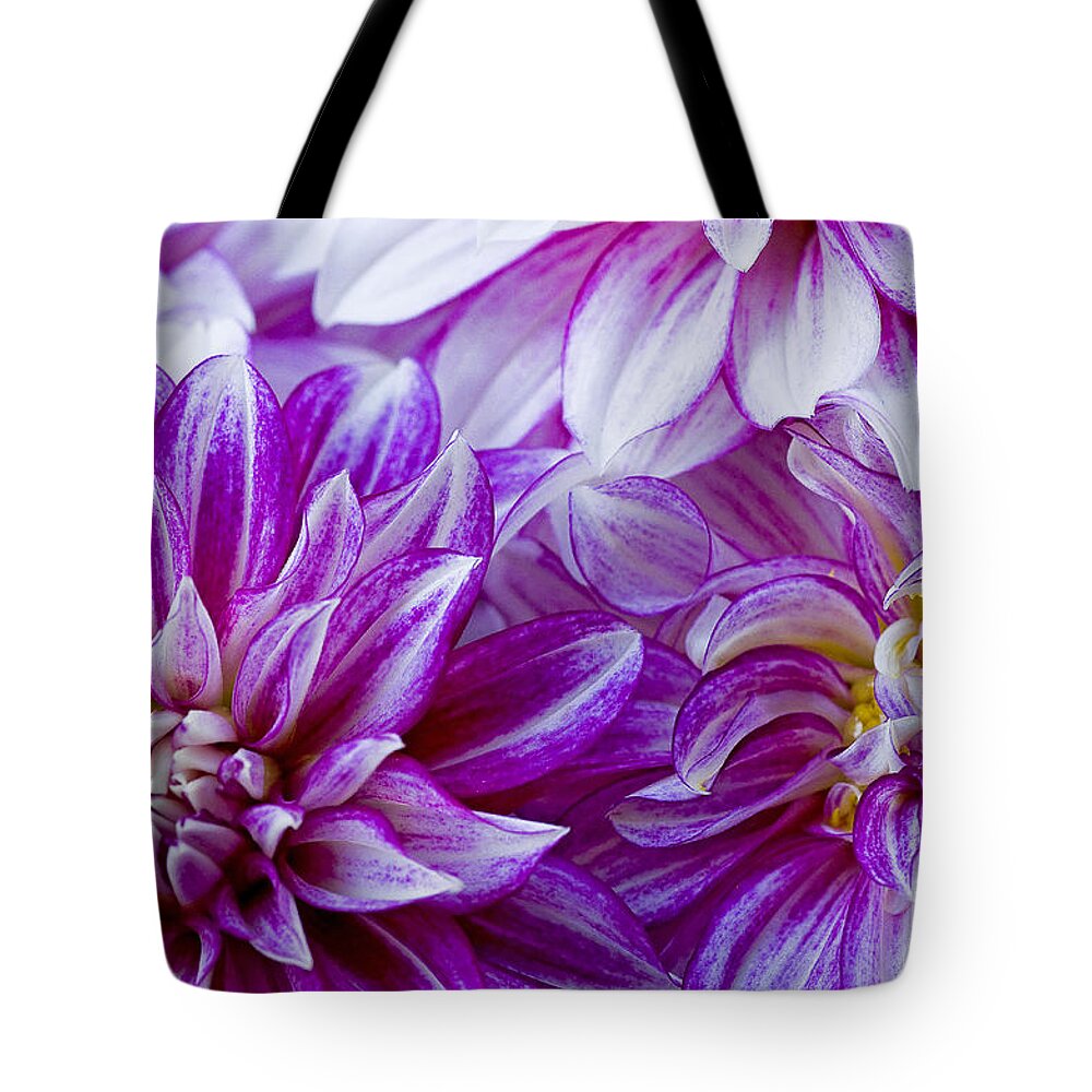  Bloom Tote Bag featuring the photograph Filling The Frame by Nick Boren