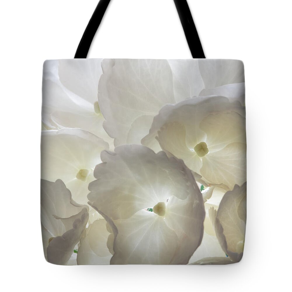 Hydrangea Tote Bag featuring the photograph Filtered Light by Shirley Mitchell