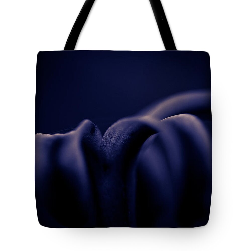 Flower Tote Bag featuring the photograph Finding Comfort in the Shadows by Shane Holsclaw