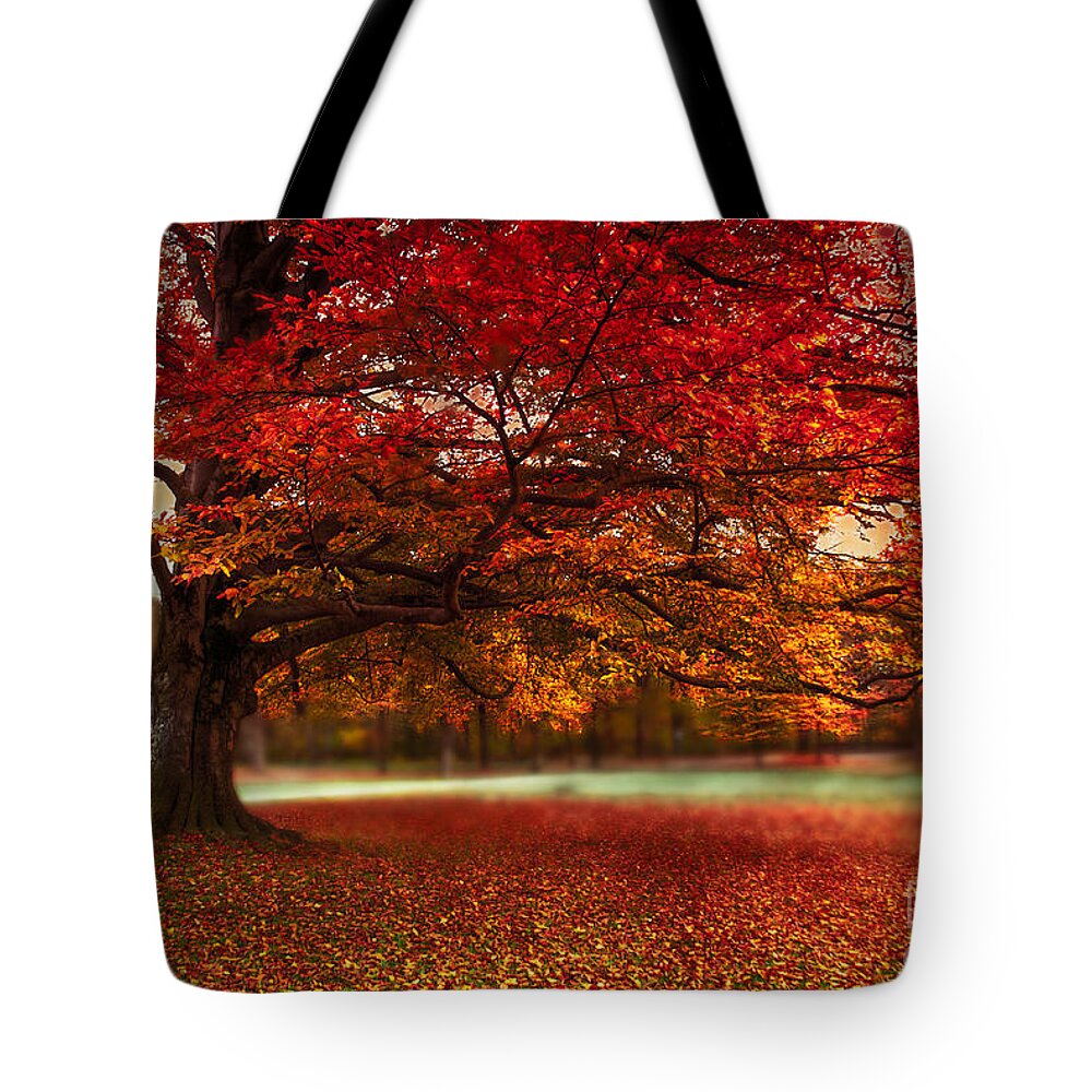 Autumn Tote Bag featuring the photograph Finest Fall by Hannes Cmarits