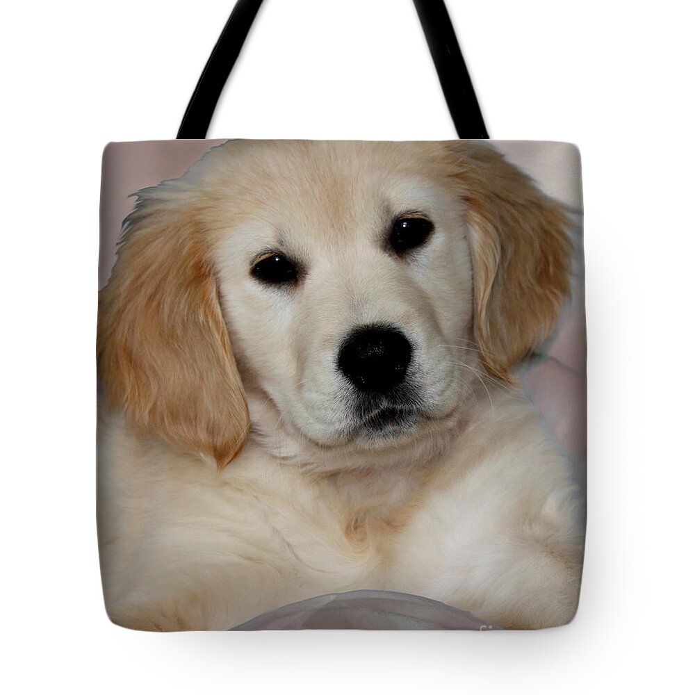 Golden Retriever Tote Bag featuring the photograph Fiona by Debbie Hart