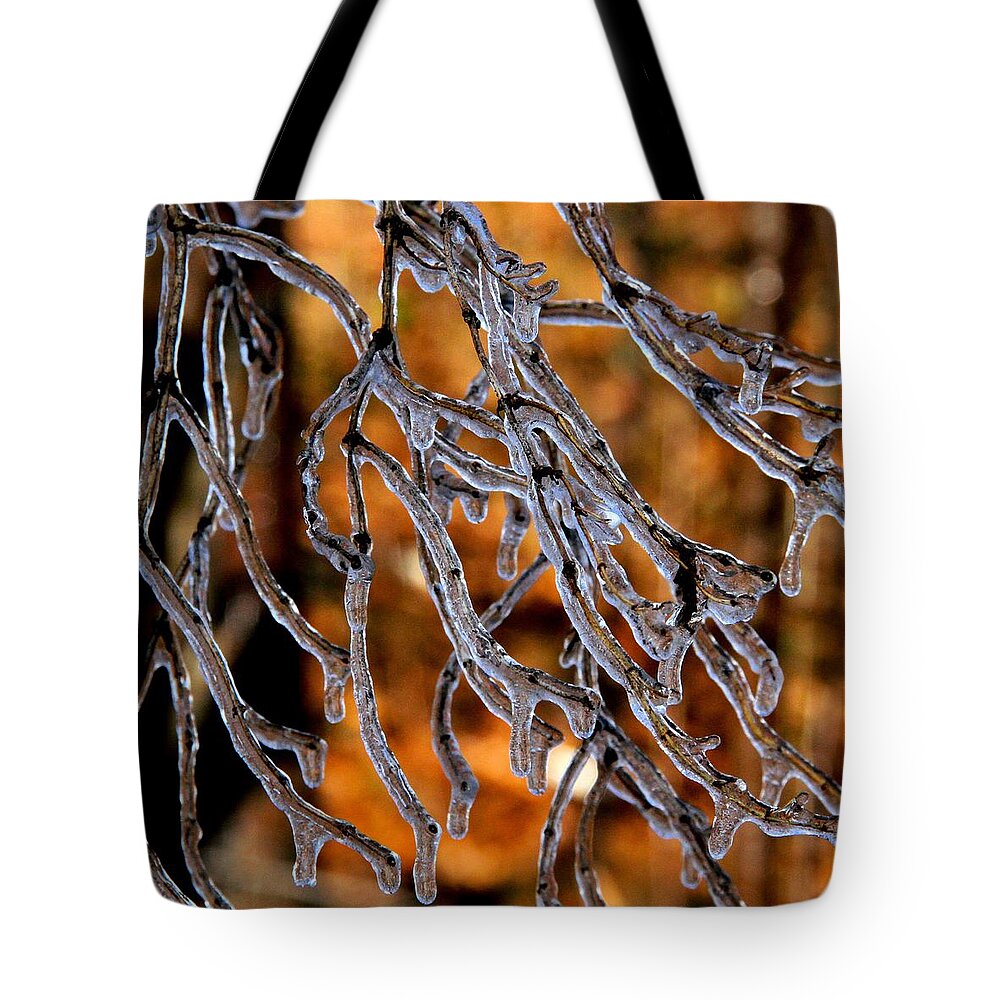Ice Tote Bag featuring the photograph Fire and Ice by Doris Potter