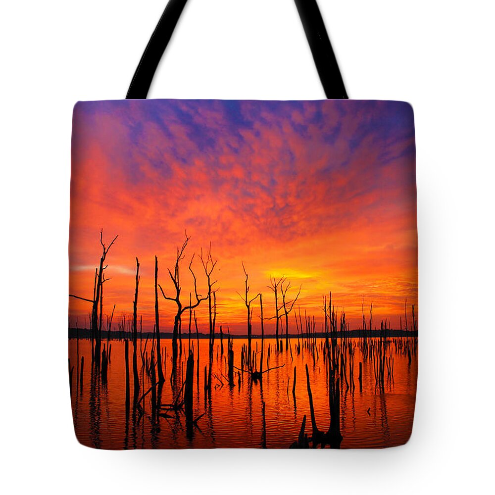 Sunrise Tote Bag featuring the photograph Fired up Morn by Roger Becker