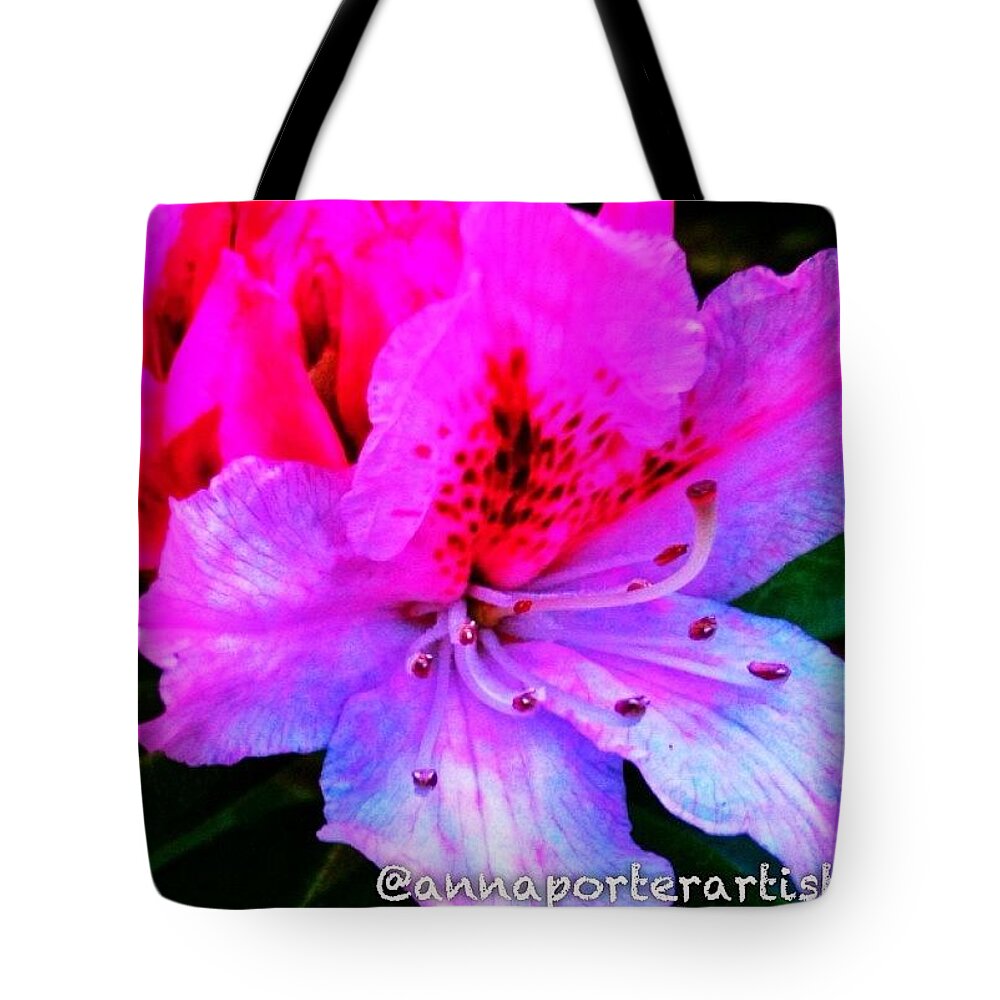 Instanaturelover Tote Bag featuring the photograph First Blush - The First Bloom On My by Anna Porter