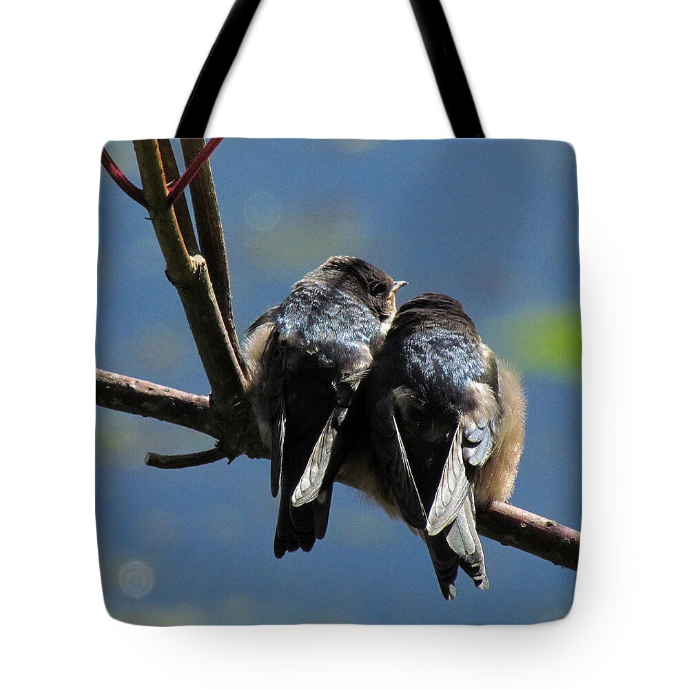 Birds Tote Bag featuring the photograph First Flight by I'ina Van Lawick