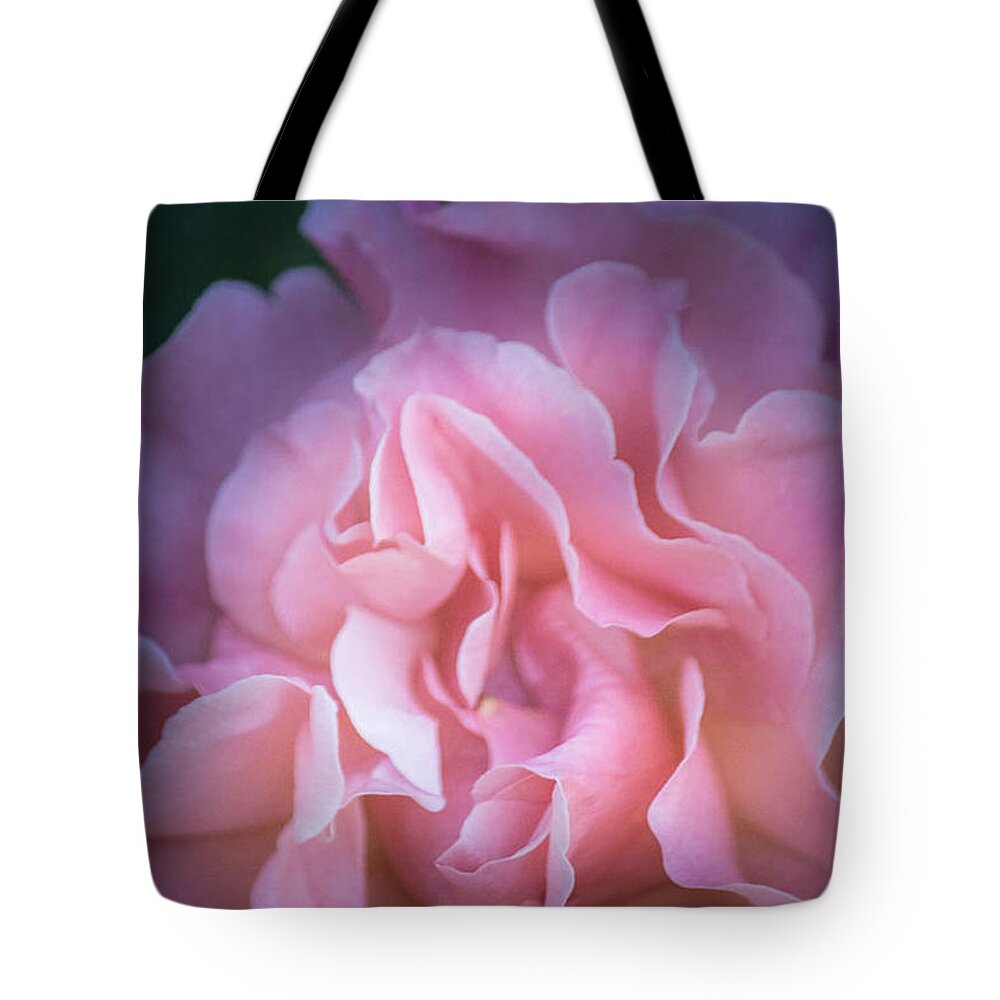 Pink Tote Bag featuring the photograph First Light by Patricia Babbitt