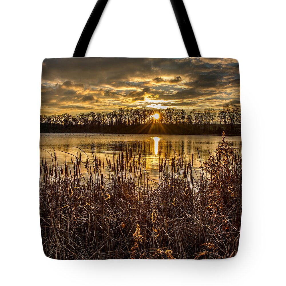 Sun Tote Bag featuring the photograph First Light by Pravin Sitaraman