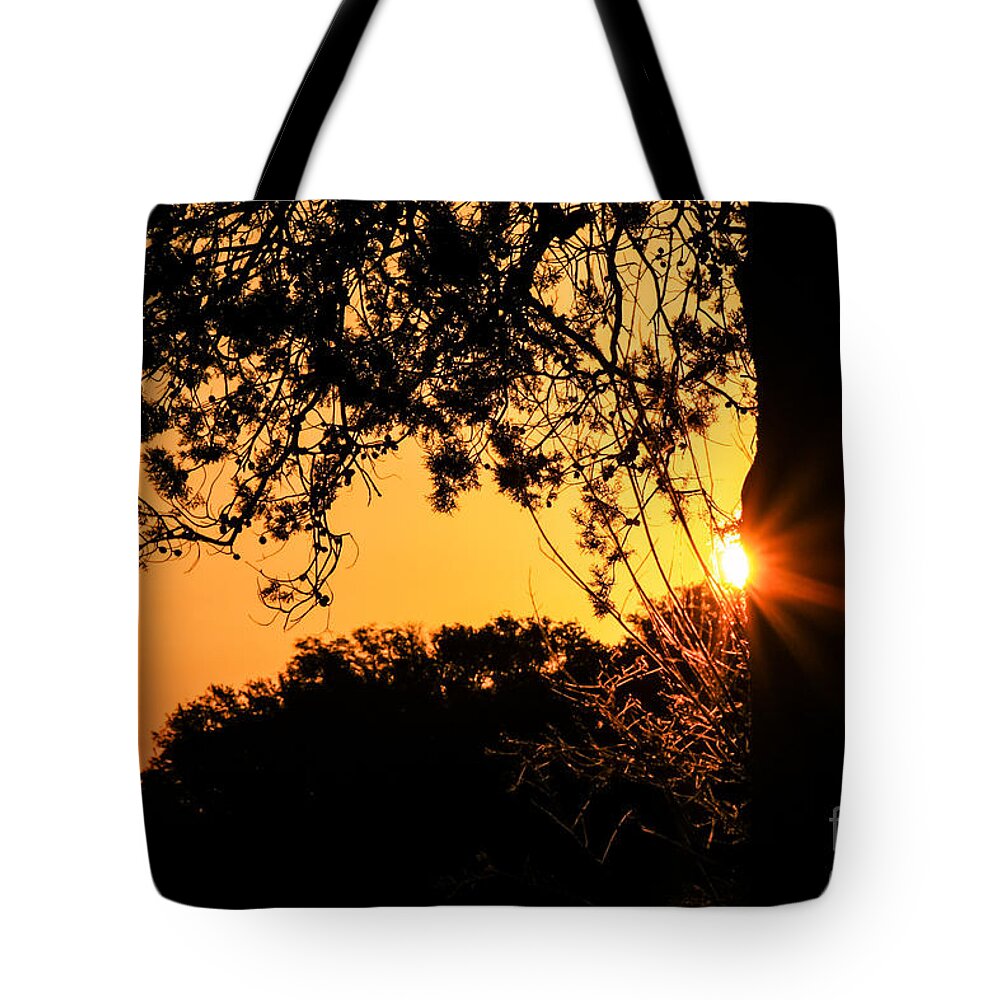 Sun Rise Tote Bag featuring the photograph First SunRise of a New Year by Toma Caul