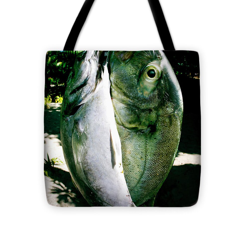Fish Caught At Tavarua, Fiji Hang Tote Bag by Eyeconic Images - 16 x 16 -  Fine Art America