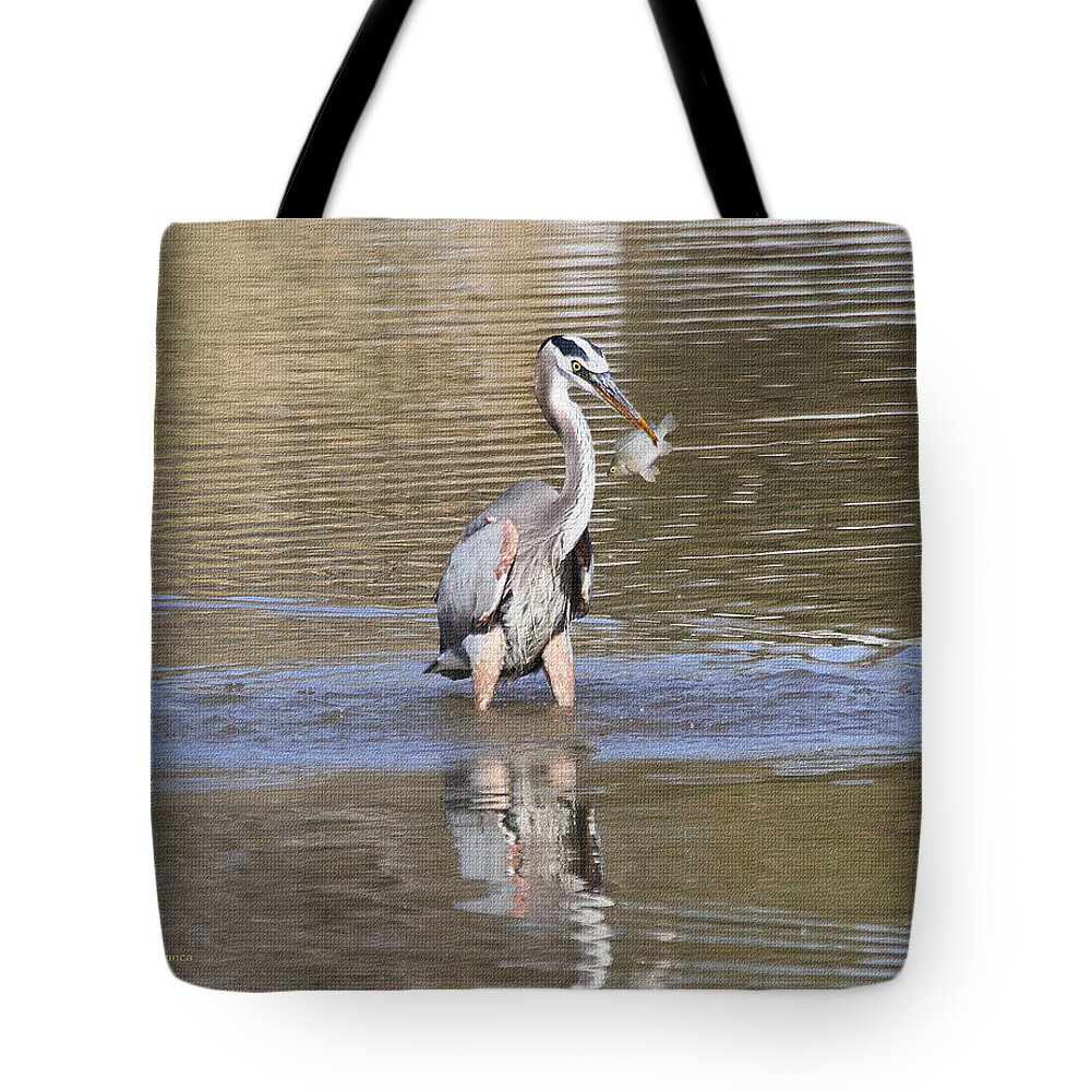Blue Heron Tote Bag featuring the photograph Fish Said I Thought You Wanted to Meet For Lunch by Tom Janca
