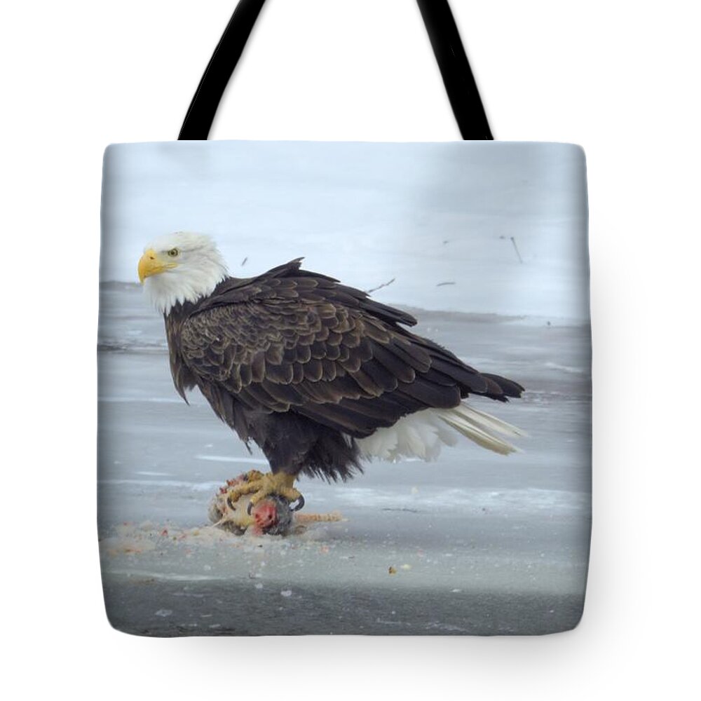 Eagle Tote Bag featuring the photograph Fisherman by Bonfire Photography