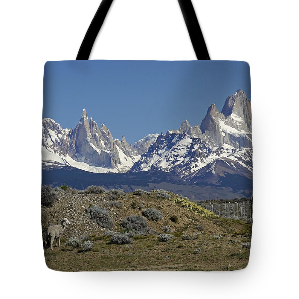 Argentina Tote Bag featuring the photograph Fitz Roy Range in Springtime 2 by Michele Burgess