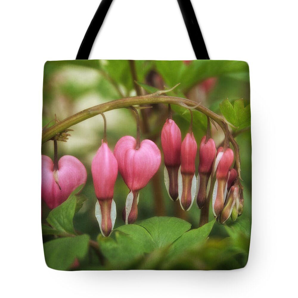 Five Little Hearts Tote Bag featuring the photograph Five Little Hearts by Mary Machare