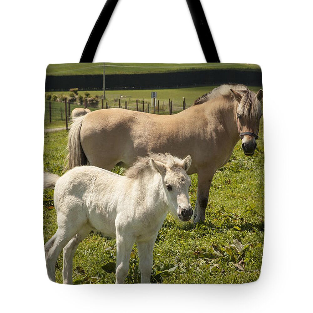 Feb0514 Tote Bag featuring the photograph Fjord Horse Mare And Foal New Zealand by Colin Monteath
