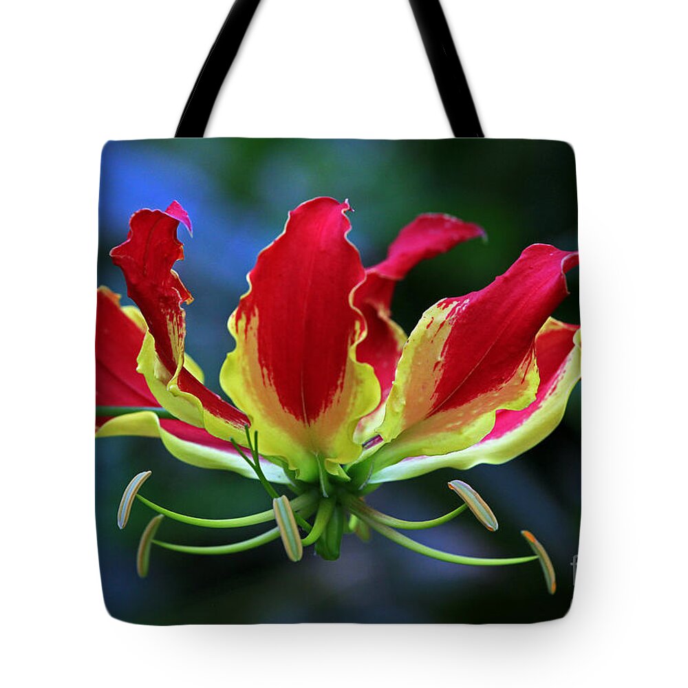 Flower Tote Bag featuring the photograph Flame Lily II by Larry Nieland