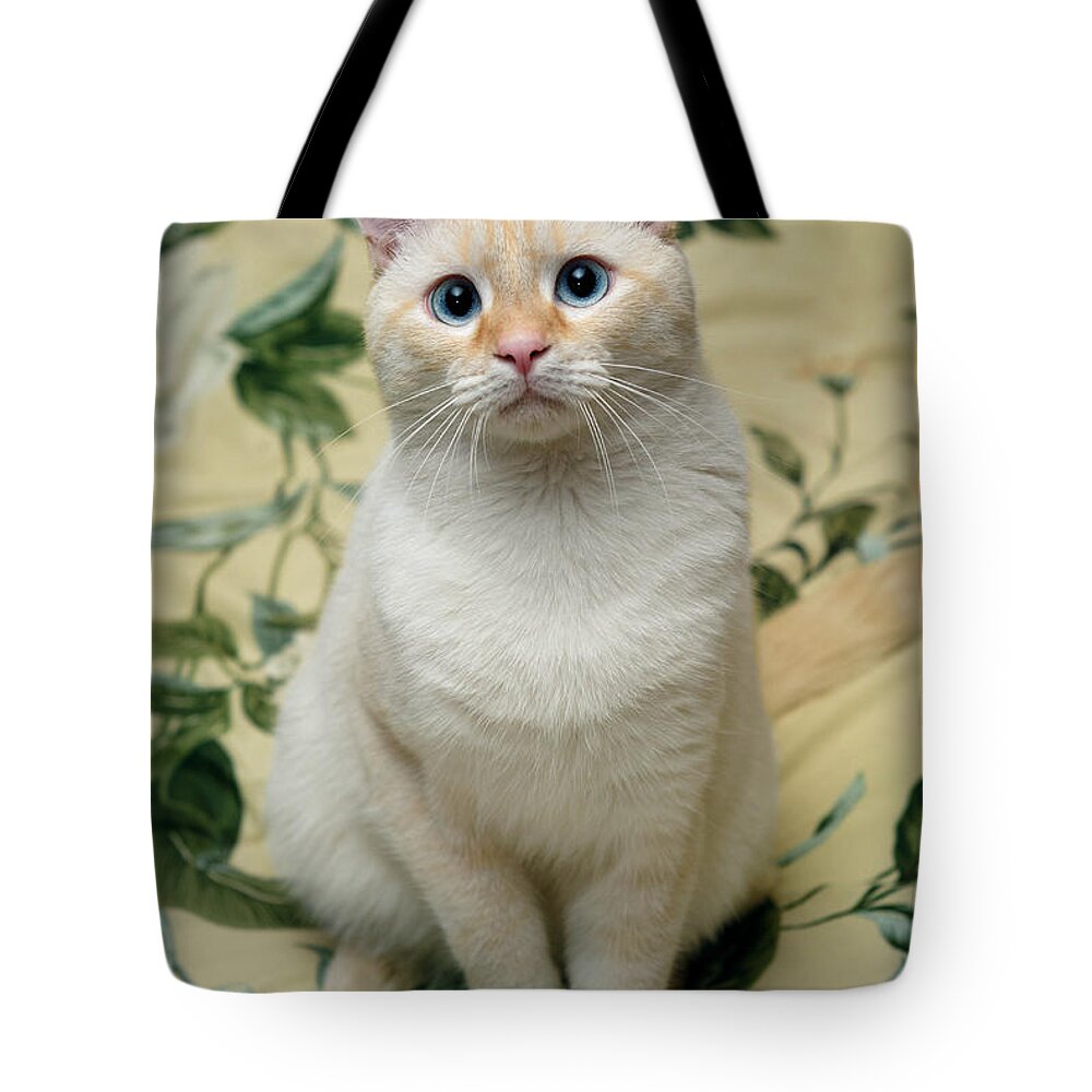 Blue Eyes Tote Bag featuring the photograph Flame Point Siamese Cat by Amy Cicconi