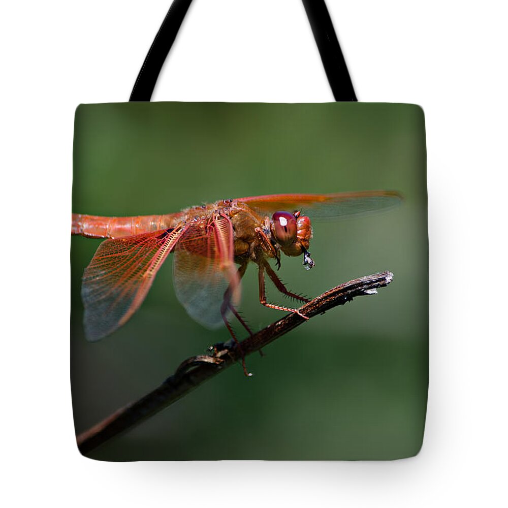 Dragonfly Tote Bag featuring the photograph Flame Skimmer Dragonfly by Linda Villers