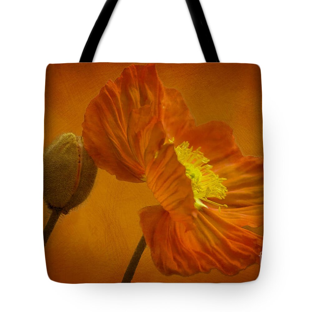 Orange Tote Bag featuring the photograph Flaming Beauty by Heiko Koehrer-Wagner