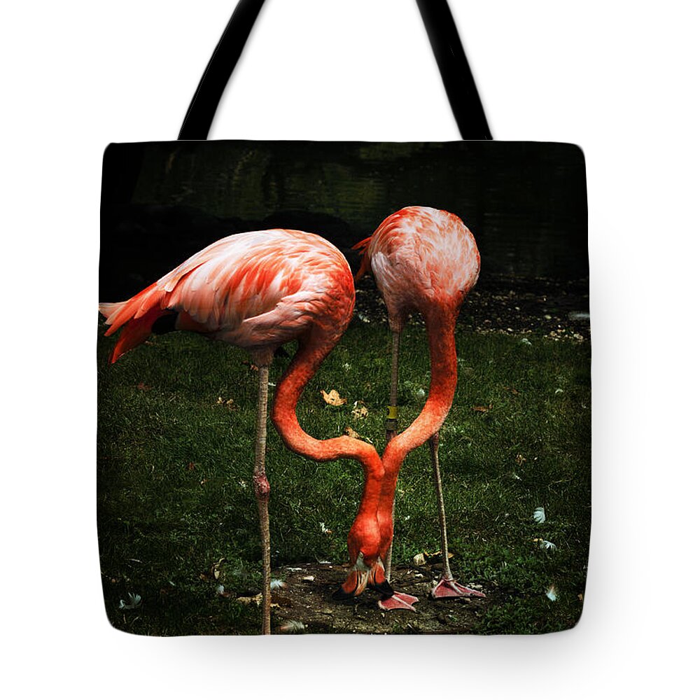 Flamingo Mirrored Tote Bag featuring the photograph Flamingo Mirrored by Mary Machare