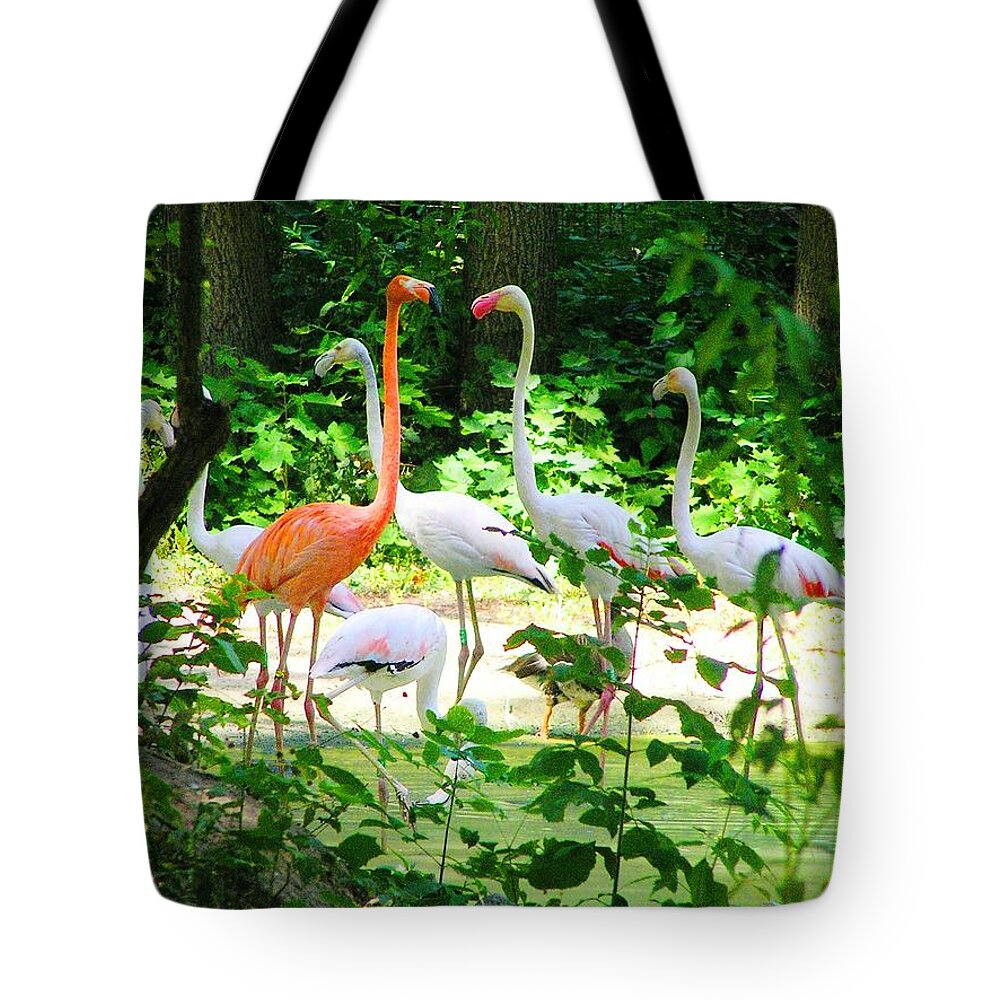 Flamingo Tote Bag featuring the photograph Flamingo by Oleg Zavarzin