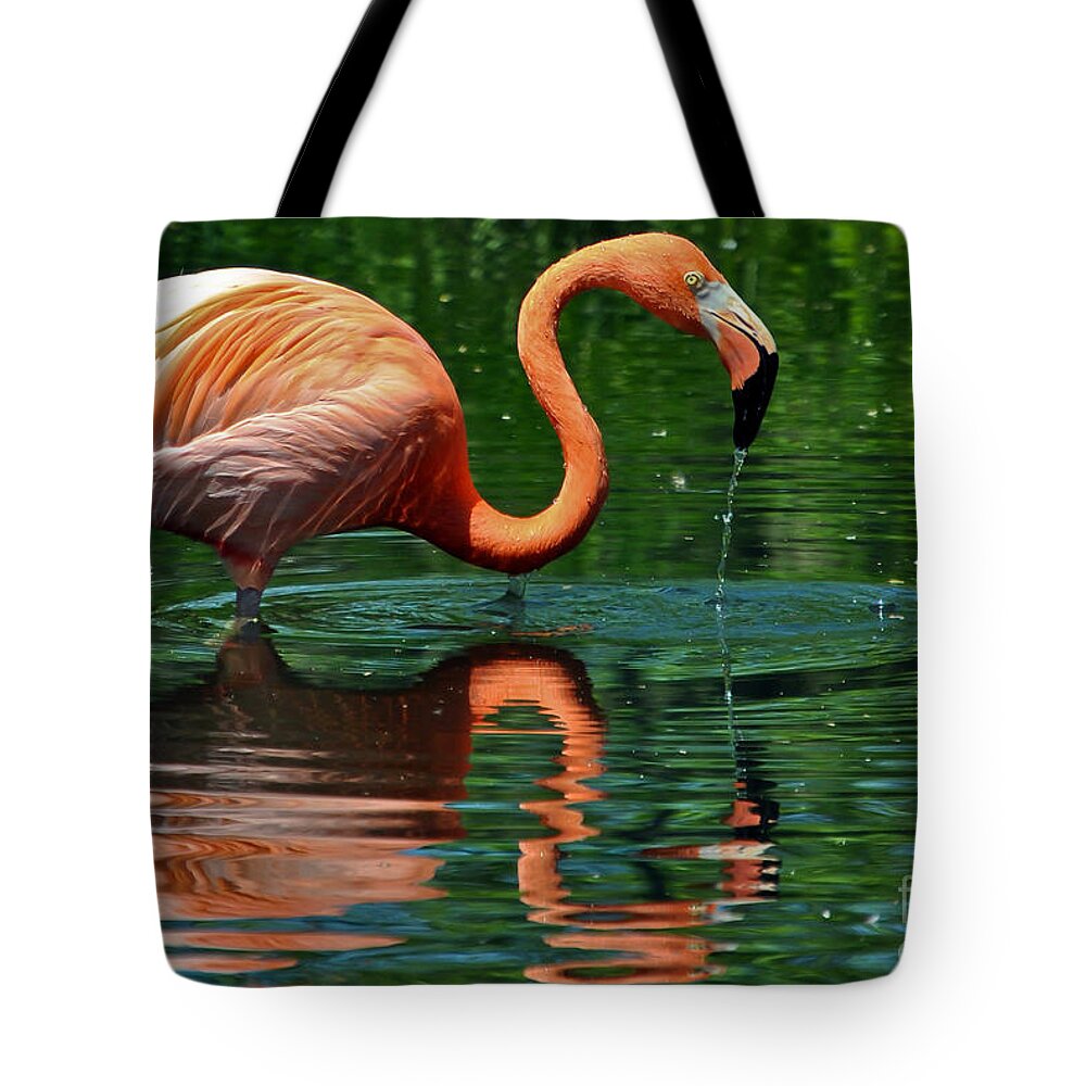 Reflection Tote Bag featuring the photograph Flamingo by PatriZio M Busnel
