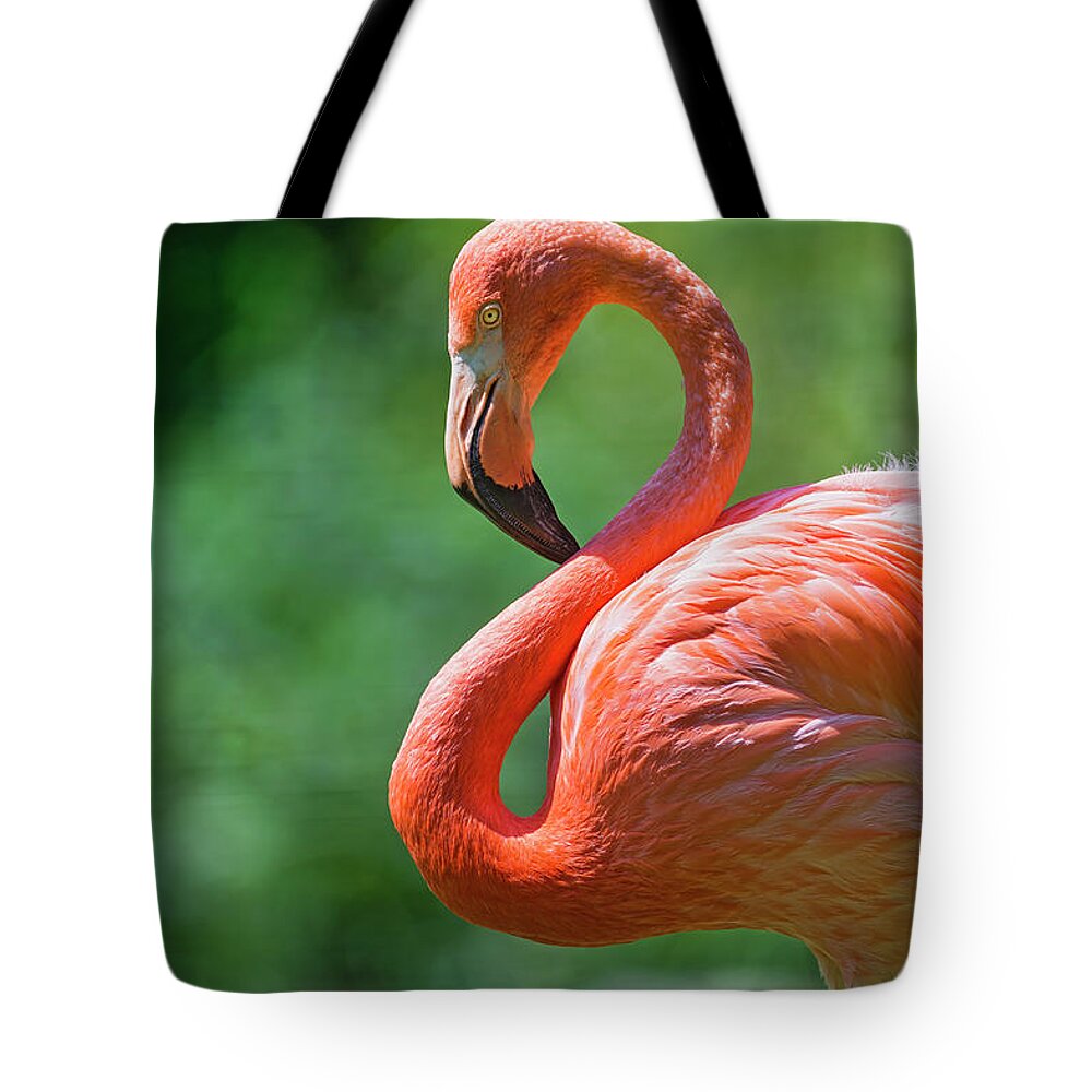 Curve Tote Bag featuring the photograph Flamingo With Curved Neck by Picture By Tambako The Jaguar