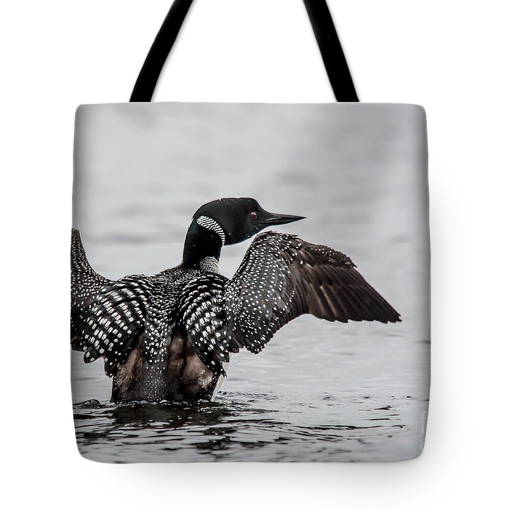 Loon Tote Bag featuring the photograph Flapping Loon by Cheryl Baxter