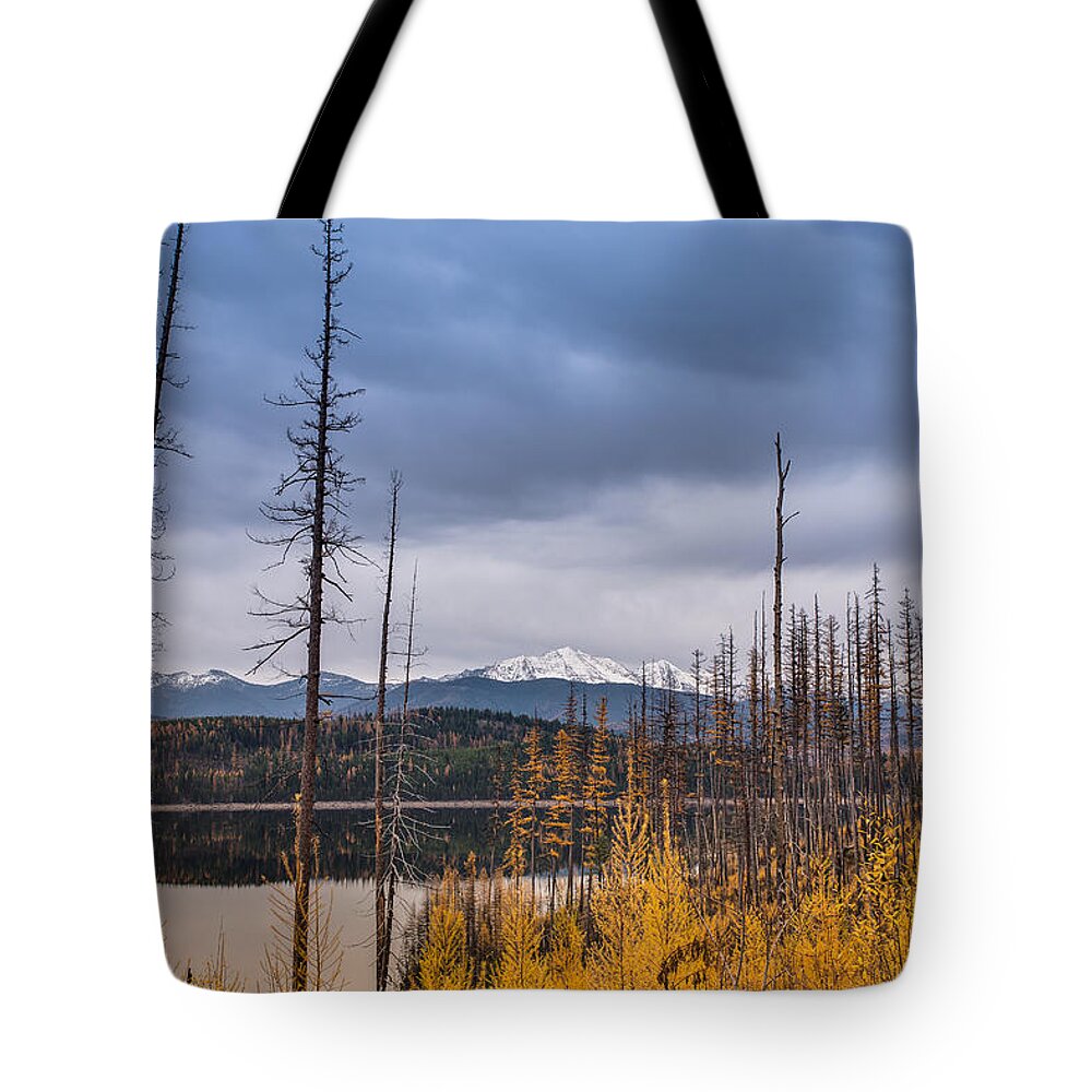 Flathead National Forest Tote Bag featuring the photograph Flathead National Forest by Adam Mateo Fierro