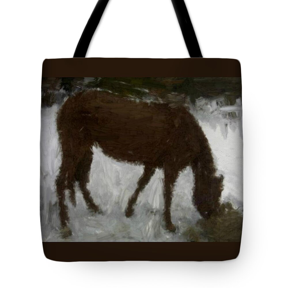 House Tote Bag featuring the painting Flicka by Bruce Nutting