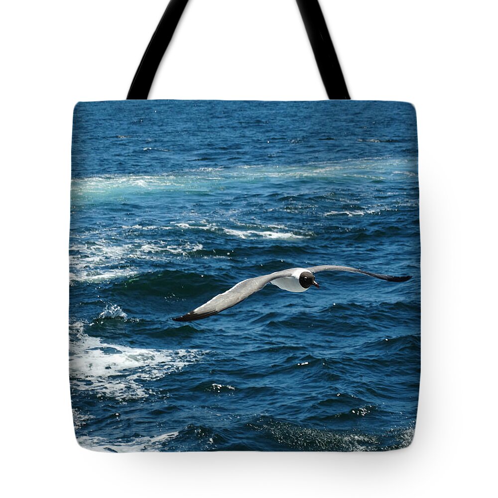 Flight Of The Seagull Tote Bag featuring the photograph Flight of the Seagull by Dark Whimsy