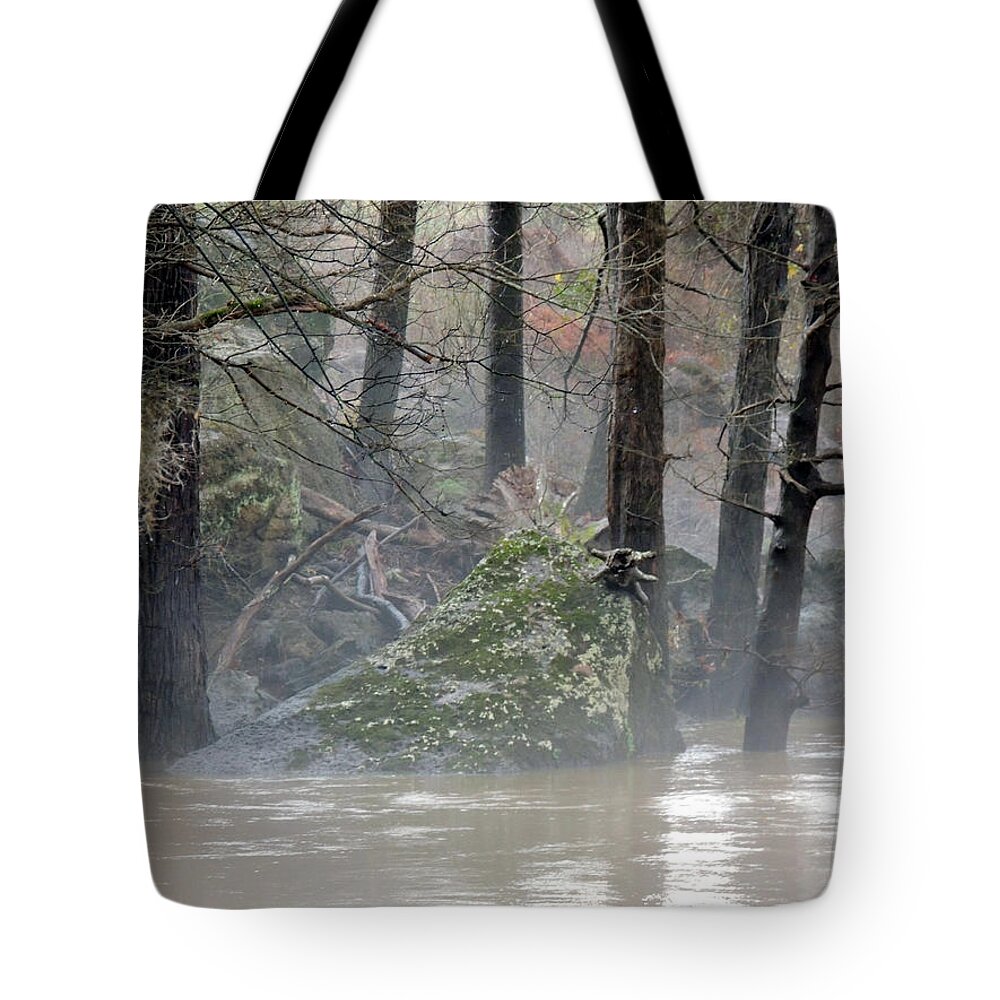 Flint River Rising Tote Bag featuring the photograph Flint River Rising by Kim Pate
