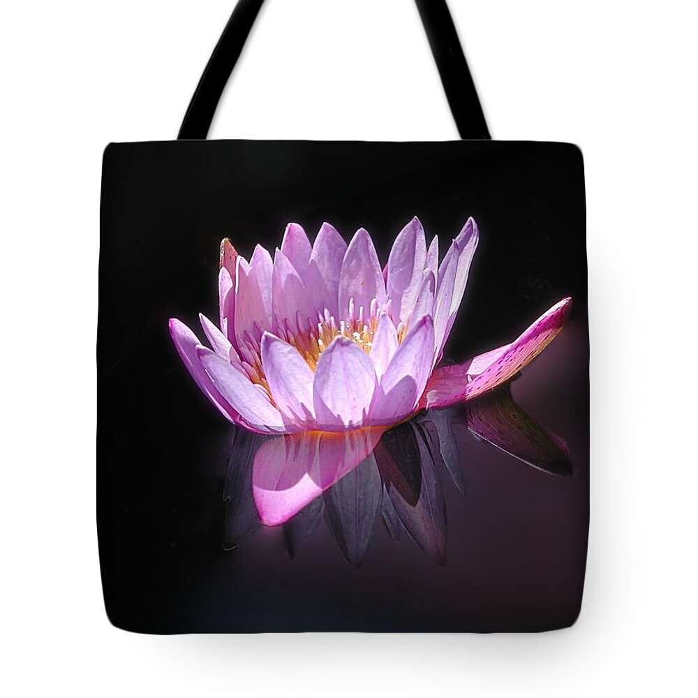 Waterlily Tote Bag featuring the photograph Floating Pink Lily by Mike Kling