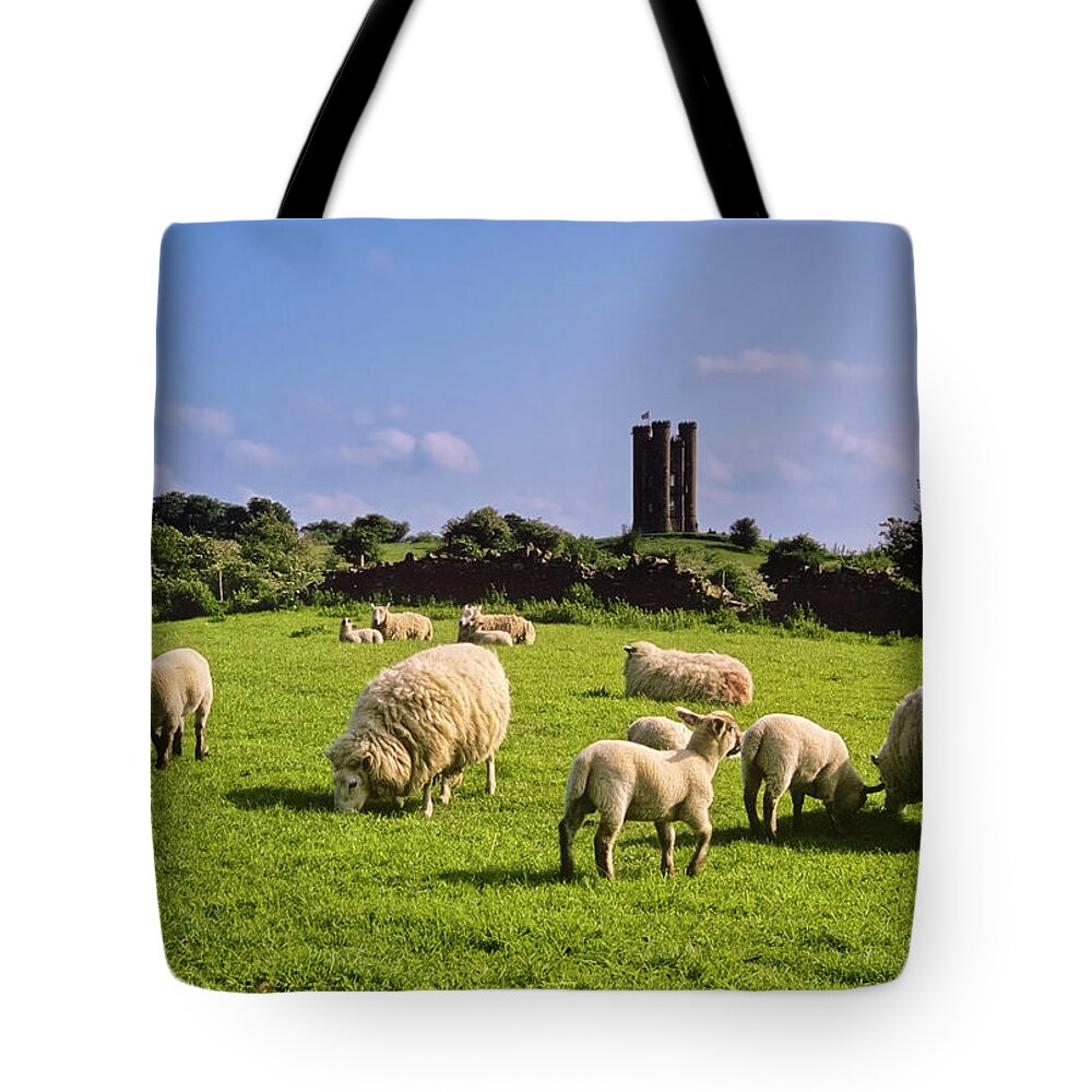 Scenics Tote Bag featuring the photograph Flock Of Sheep Eating Grass With Castle by Kodachrome25