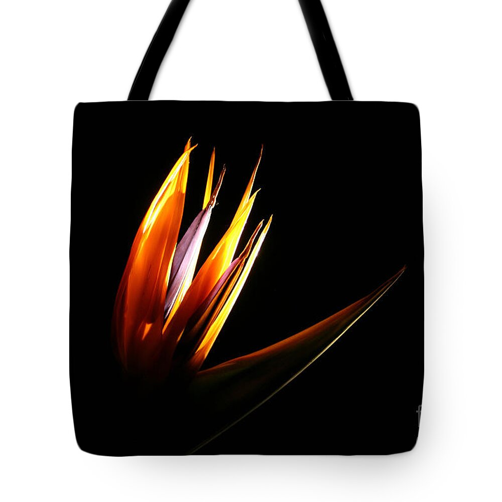 Photography Tote Bag featuring the photograph Flor Encendida Detalle by Francisco Pulido