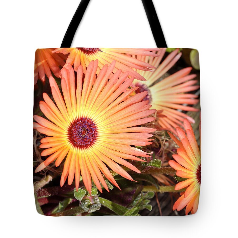 Flowers Tote Bag featuring the photograph Floral by Cathy Mahnke
