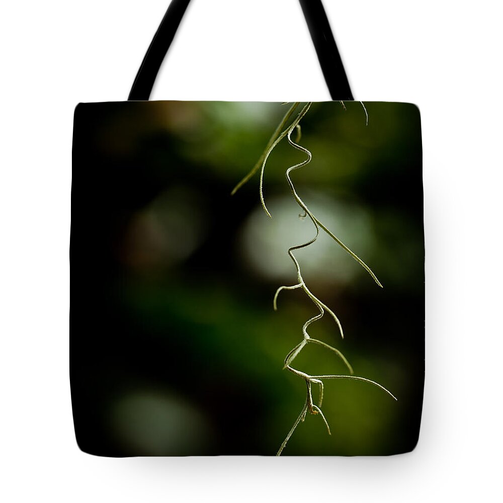 Floral Tote Bag featuring the photograph Floral Curves by Alexander Fedin