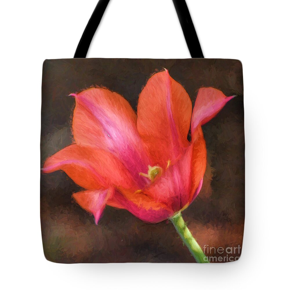 Floral Tote Bag featuring the photograph Floral Delight by Kerri Farley