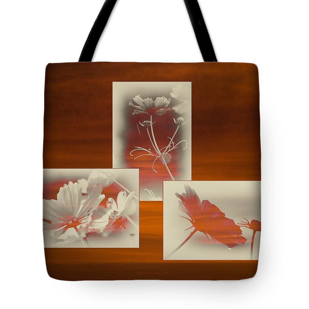 Floral Tote Bag featuring the photograph Floral Early Garden Light 06 by Thomas Woolworth