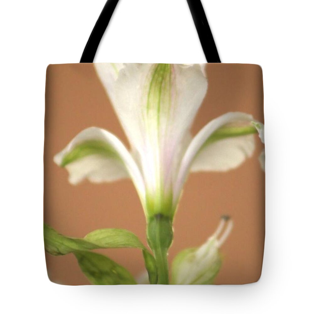 Flower Tote Bag featuring the photograph Floral Tones by Deborah Crew-Johnson