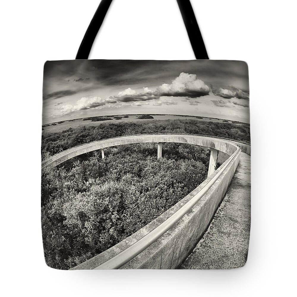 Everglades Tote Bag featuring the photograph Florida Everglades by Raul Rodriguez