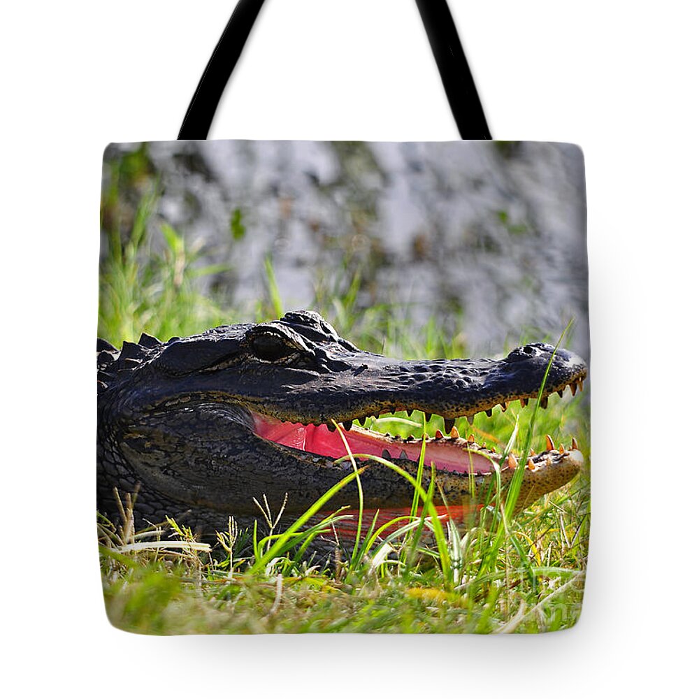 American Alligator Tote Bag featuring the photograph Gator Grin #1 by Al Powell Photography USA